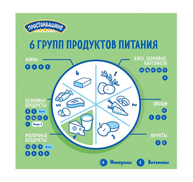 6 групп продуктов питания Картинка